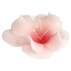 Kwiat cukrowy magnolia dekoracja tort różowy 1x